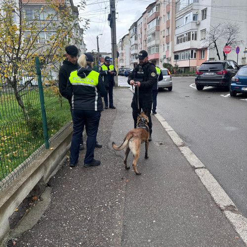 Polițiștii din Neamț au verificat chiulangiii și au derulat acțiuni preventive în școli