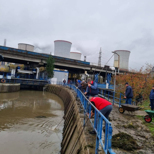 Intervenție rapidă la Priza cu Barare Rovinari după creșterea debitului râului Jiu