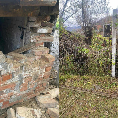 Urs pătrunde în curtea unor locuitori din Vulcan și provoacă pagube