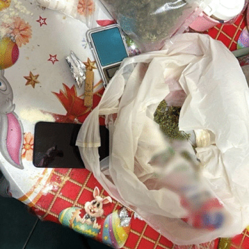 Traficanți de droguri riscă dosare penale după perchezițiile din Hunedoara