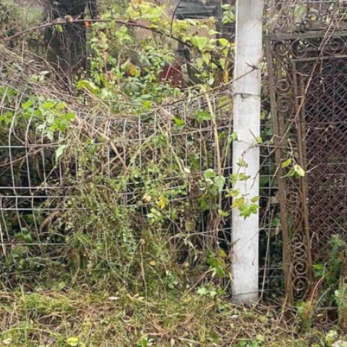 Ursul a distrus proprietăți în Vulcan; primarul anunță măsuri urgente