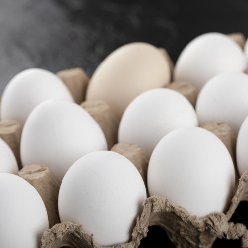 Agroland investește 130 milioane lei în noua fabrică de ouă lichide de la Caransebeș