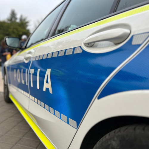 Bărbat sancționat după ce a fost prins transportând ilegal lemn în George Enescu