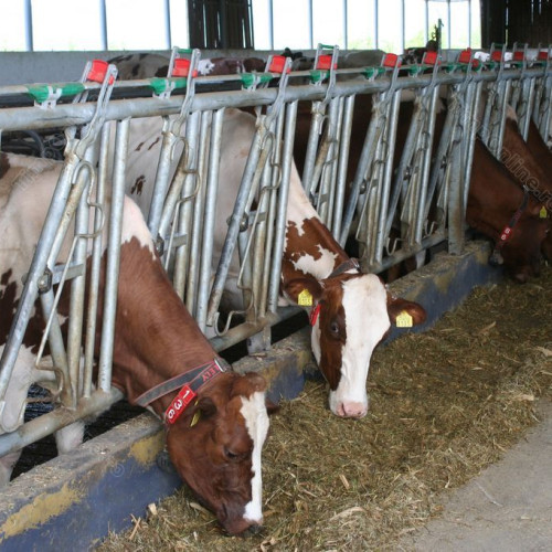 18 ferme devin modele naționale pentru investiții de mediu în agricultură