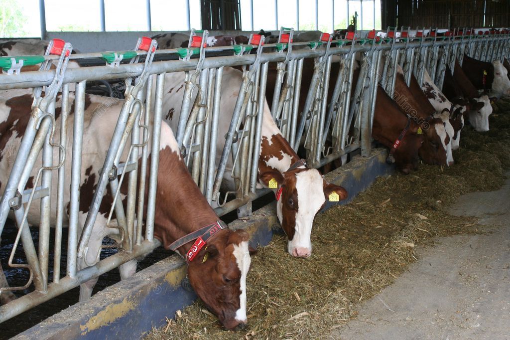 18 ferme devin modele naționale pentru investiții de mediu în agricultură