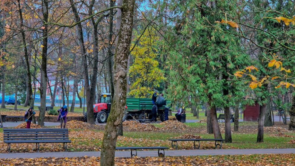 Lucrările principale și importanța lor în dezvoltare