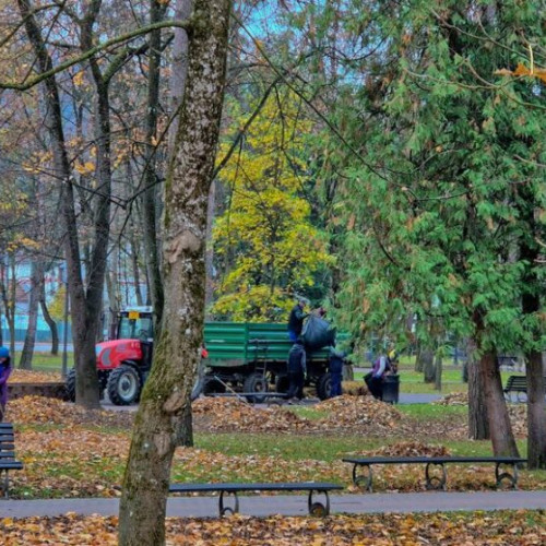 Lucrările principale și importanța lor în dezvoltare