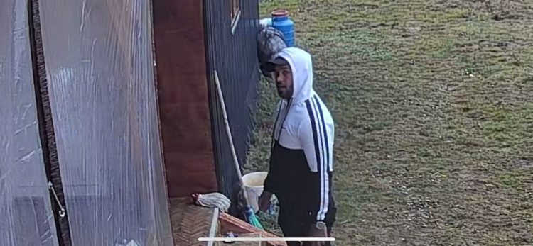 Locuitorii din Săcălăşeni sesizează prezența unui bărbat suspect în curți