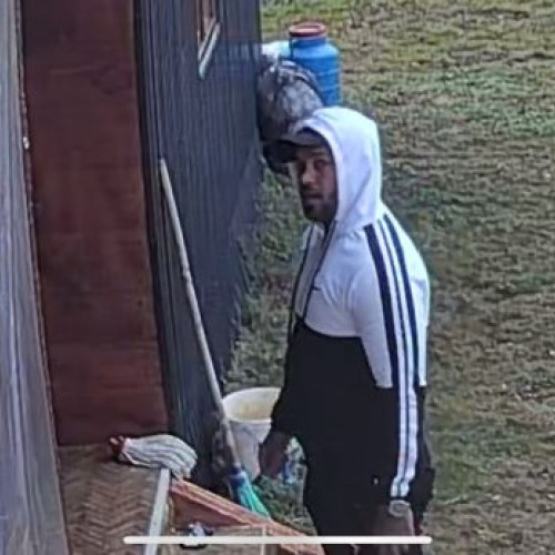 Locuitorii din Săcălăşeni sesizează prezența unui bărbat suspect în curți