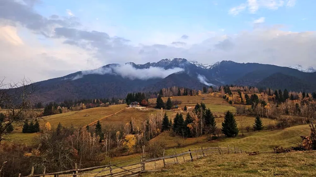 Academia Magică a Sănătății, prima școală de magie din România, a prins viață la Castelul Bran