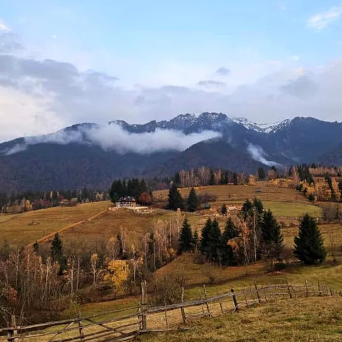 Academia Magică a Sănătății, prima școală de magie din România, a prins viață la Castelul Bran