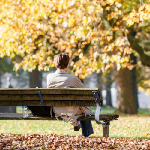 Vremea va fi mai caldă decât în mod obișnuit până la mijlocul lunii noiembrie