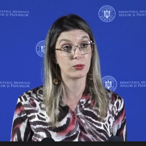 Ministrul Diana Buzoianu susține controlul privind închirierea plajelor din Năvodari