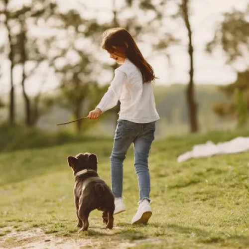 Locuitorii din Mărăști reclamană lipsa respectării regulilor pentru câinii fără lesă