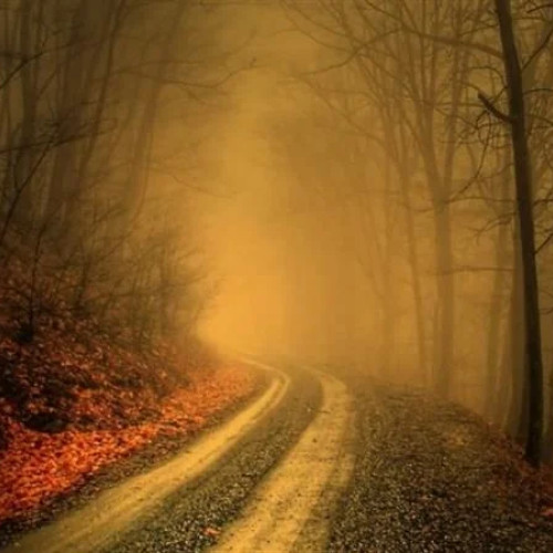 Prognoza meteo pentru Muntenia: temperaturi constante până pe 15 noiembrie