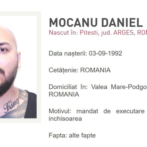 Dani Mocanu și fratele său, arestați în Italia după condamnări în România