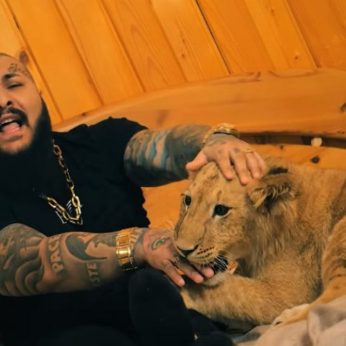 Dani Mocanu și fratele său arestați în Italia după condamnări în România