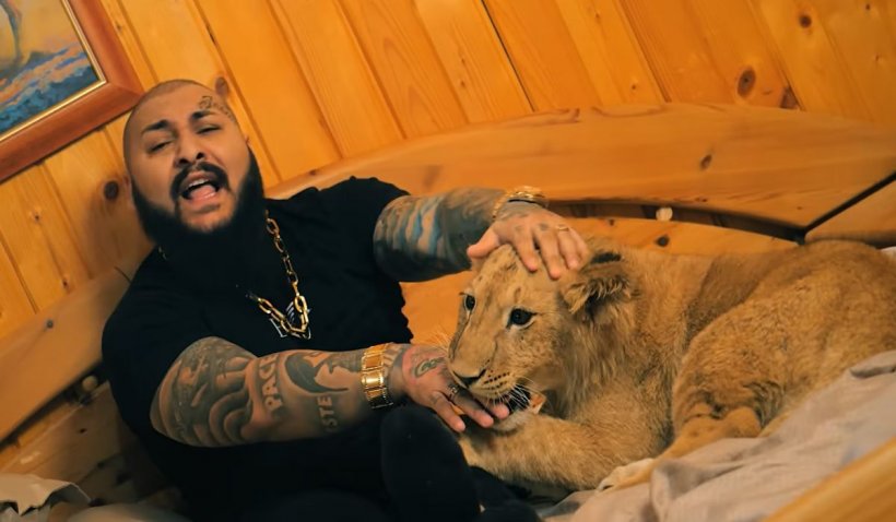 Dani Mocanu și fratele său arestați în Italia după condamnări în România