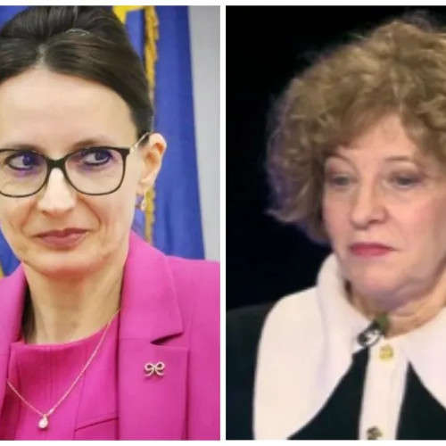 CSM sesizează organele penale după declarațiile Oanei Gheorghiu despre pensiile magistraților