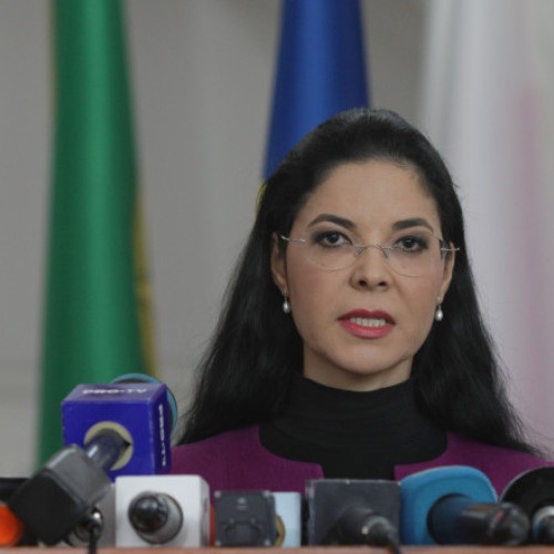 Ana Birchall: Oana Gheorghiu poate sesiza procurorii pentru inducerea în eroare a organelor judiciare