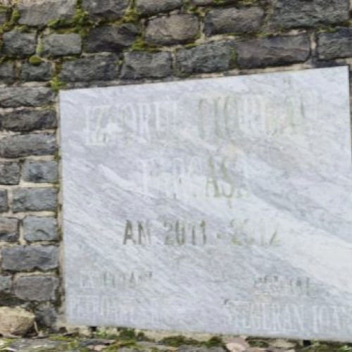 Finalizate lucrările de curățare la izvorul Ciorgău din Fărcașa