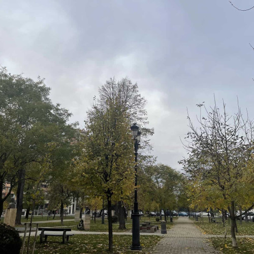 Vremea până în 8 decembrie: temperaturi mai ridicate și precipitații excedentare