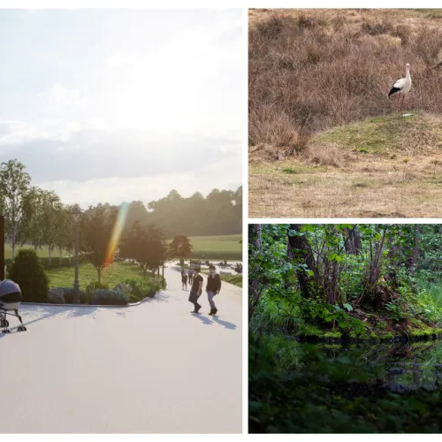 Activistul Adrian Dohotaru avertizează asupra distrugerii zonelor umede lângă pădurea Făget