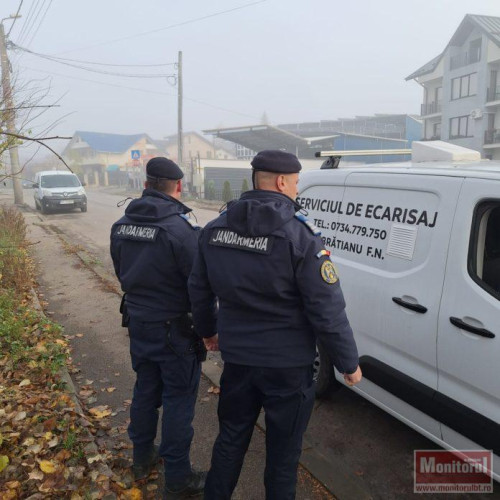 Câine agresiv prins pe strada Pod de Piatră din Botoșani