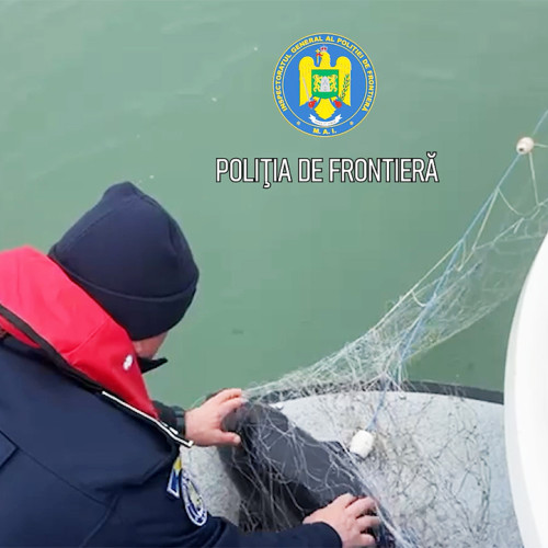 Descoperire de plase ilegale cu sturioni și delfin în Marea Neagră