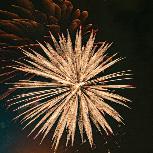 Magic Events Zăicești organizează un Revelion tradițional cu spectacol live și meniu rafinat