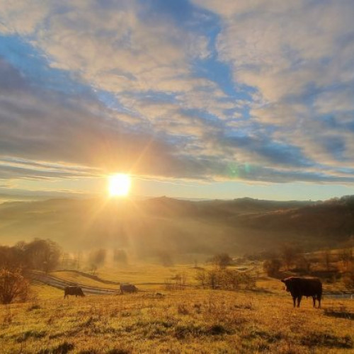 ANM anunță temperaturi peste medie și variații de precipitații în următoarea lună