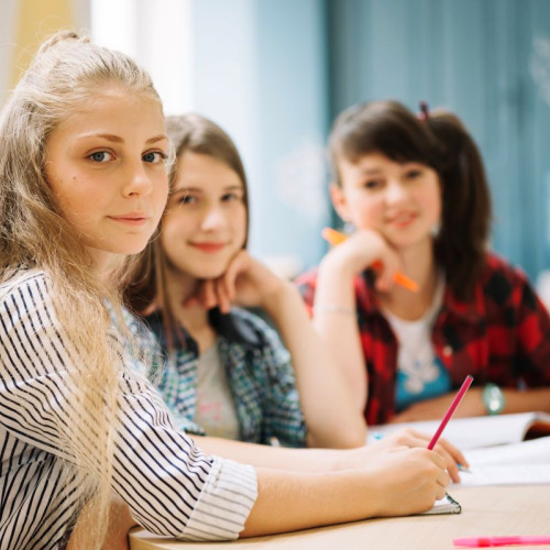 De la 2029, liceele tehnologice vor funcționa exclusiv în sistem dual