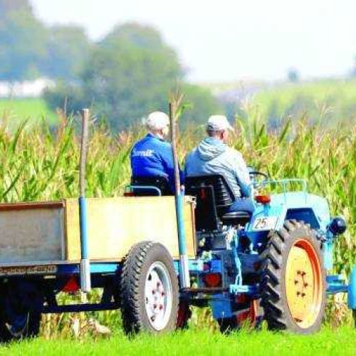 Fermierii din Iași primesc avansuri APIA și fonduri europene pentru 2025