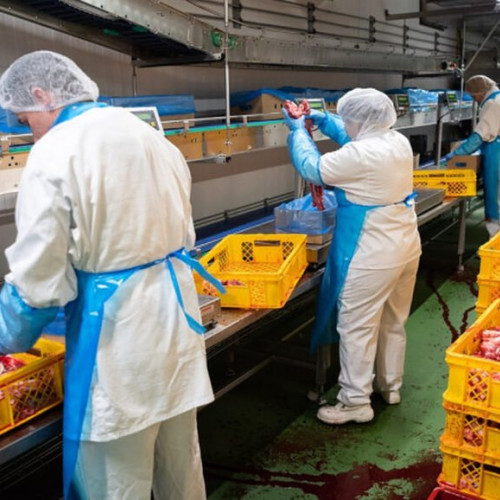 O firmă din Iași anunță concedierea a 44 de angajați în județul Botoșani