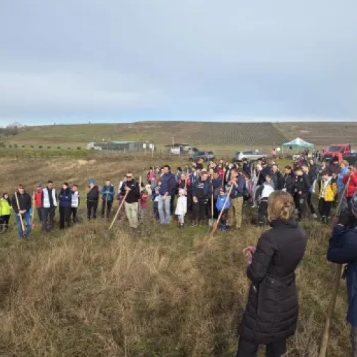 Comunitatea din Apahida a plantat 4.000 de copaci pentru un mediu mai verde