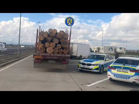 Polițiștii din Brașov sancționează un ocol silvic pentru material lemnos fără proveniență legală