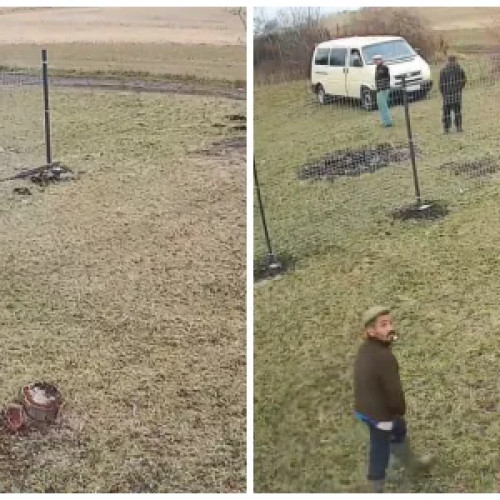 Patru persoane surprinse încercând să fure lemne și materiale de gard în Dâmbu Rotund