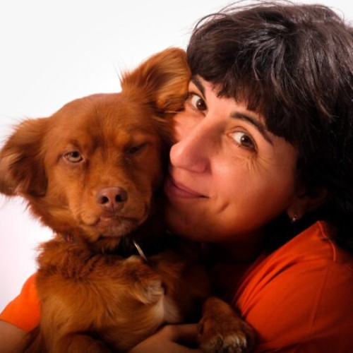 Adăpostul Speranța oferă angajaților zile libere de doliu pentru pierderea câinilor de companie