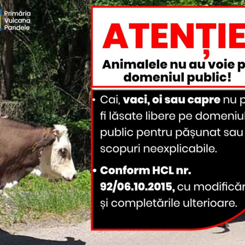 Primarul Vulcana-Pandele avertizează asupra pericolului animalelor lăsate nesupravegheate pe domeniul public