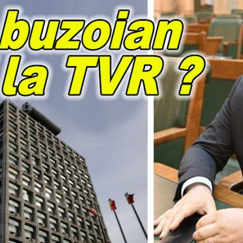 Buzoianul Vlad Pufu, posibil noul director general al TVR