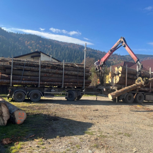 Poliția din Neamț a aplicat amenzi și a confiscat lemn în urma unei acțiuni de control