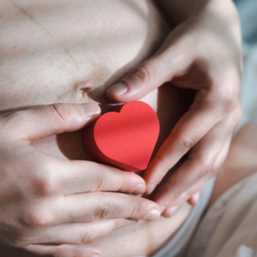 Programul național de fertilizare in vitro va fi susținut din fonduri europene