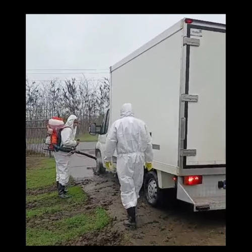 DSVSA Constanța intervine din nou în cazul unui focar de pestă porcină africană la Năvodari