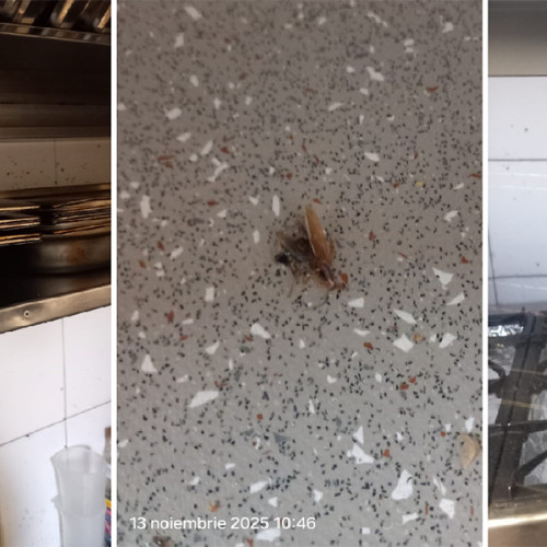 Restaurante din Constanța închise temporar de Protecția Consumatorilor din cauza neregulilor sanitare