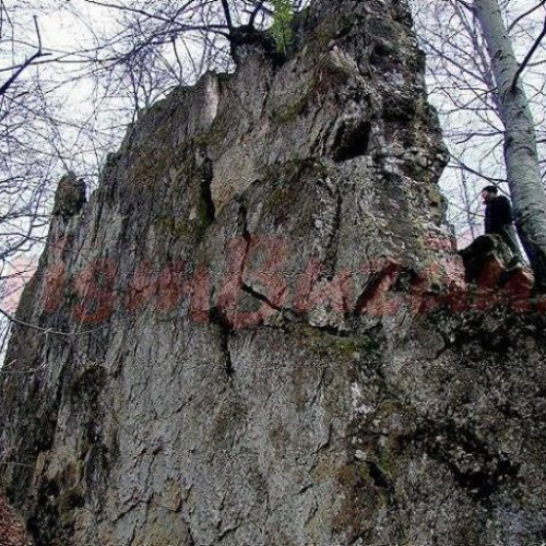 Zece localităţi din România au fost desemnate zone cu resurse turistice