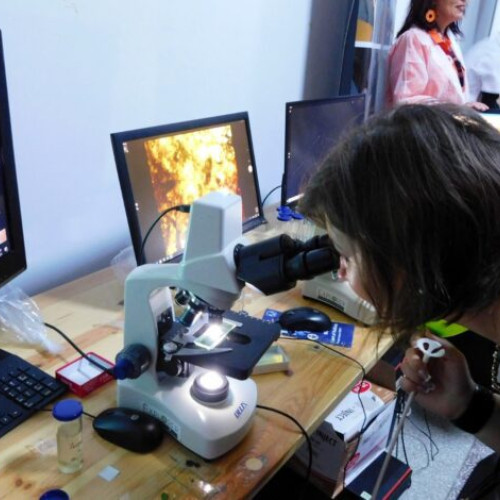 Play Science Festival aduce știința mai aproape de buzoieni cu experiențe interactive