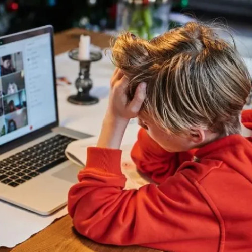 Platforma „Ora de Istorie” transformă învățarea istoriei în județul Buzău