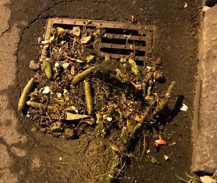 Cartierele șchei și tractorul, cele mai expuse la inundații în Brașov