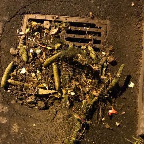 Cartierele șchei și tractorul, cele mai expuse la inundații în Brașov