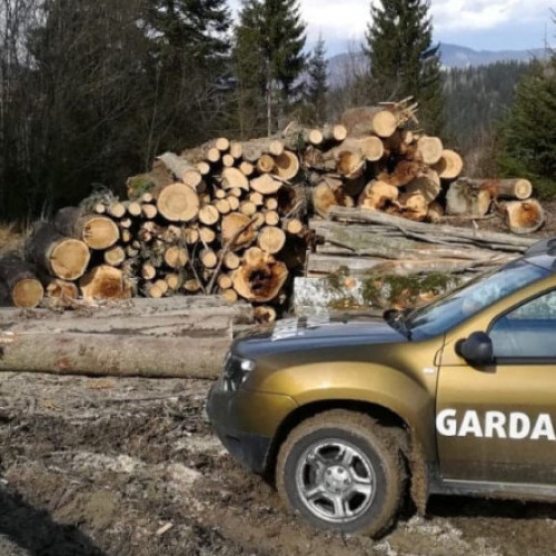 Guvernul majorează numărul angajaților în cadrul Gărzii Forestiere cu 197 de posturi